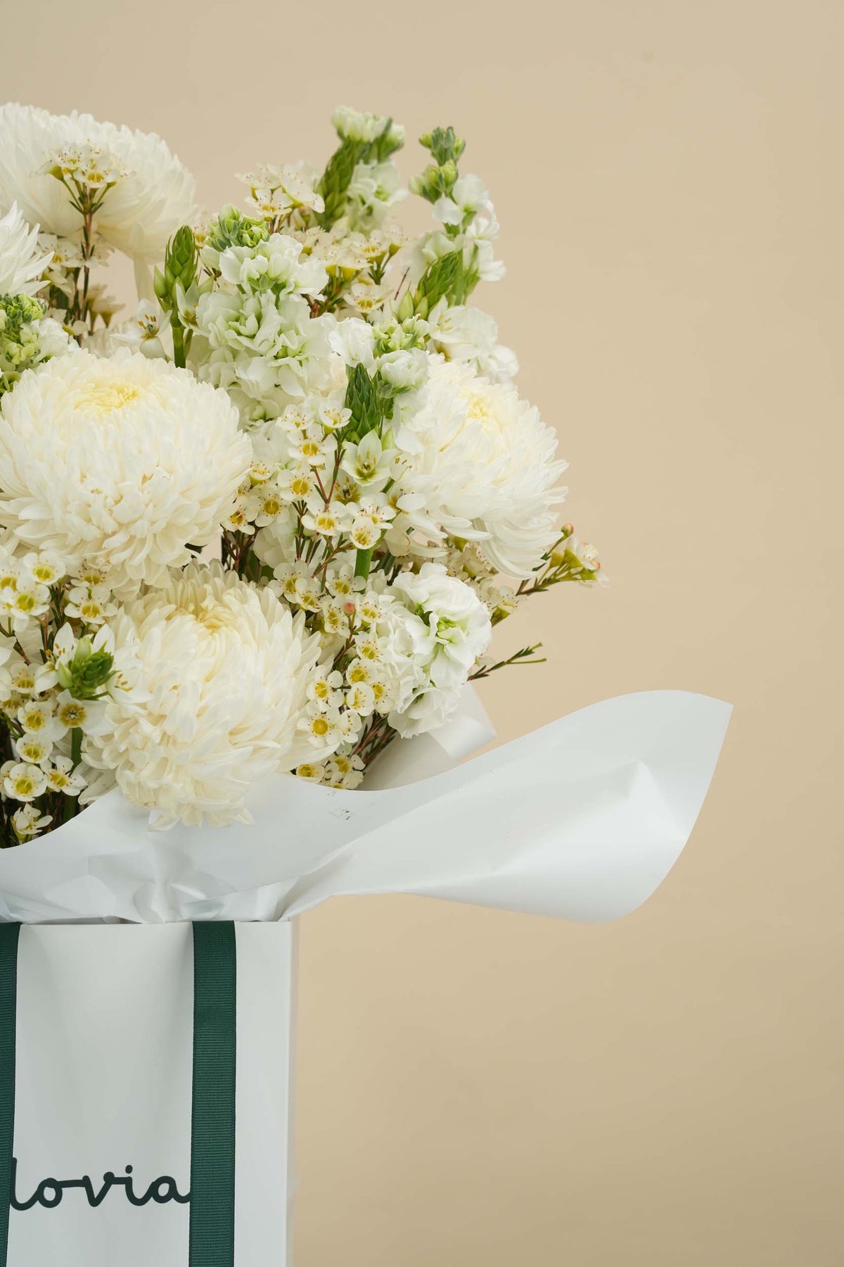 Pure White Garden