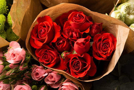Red Rose
