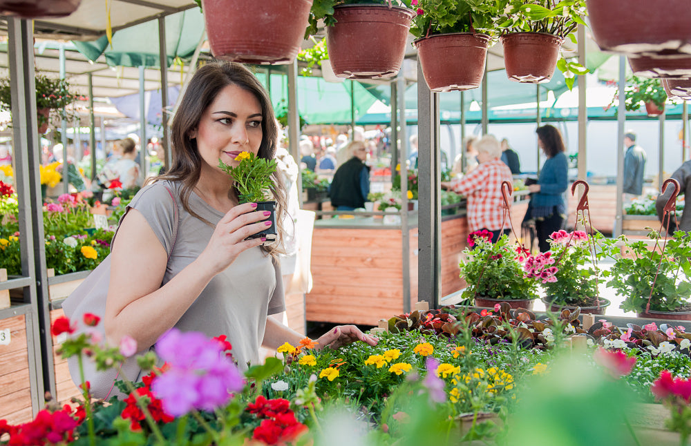 New Trends in the Flower Market Dubai – A Blooming Future for Online Flower Shops