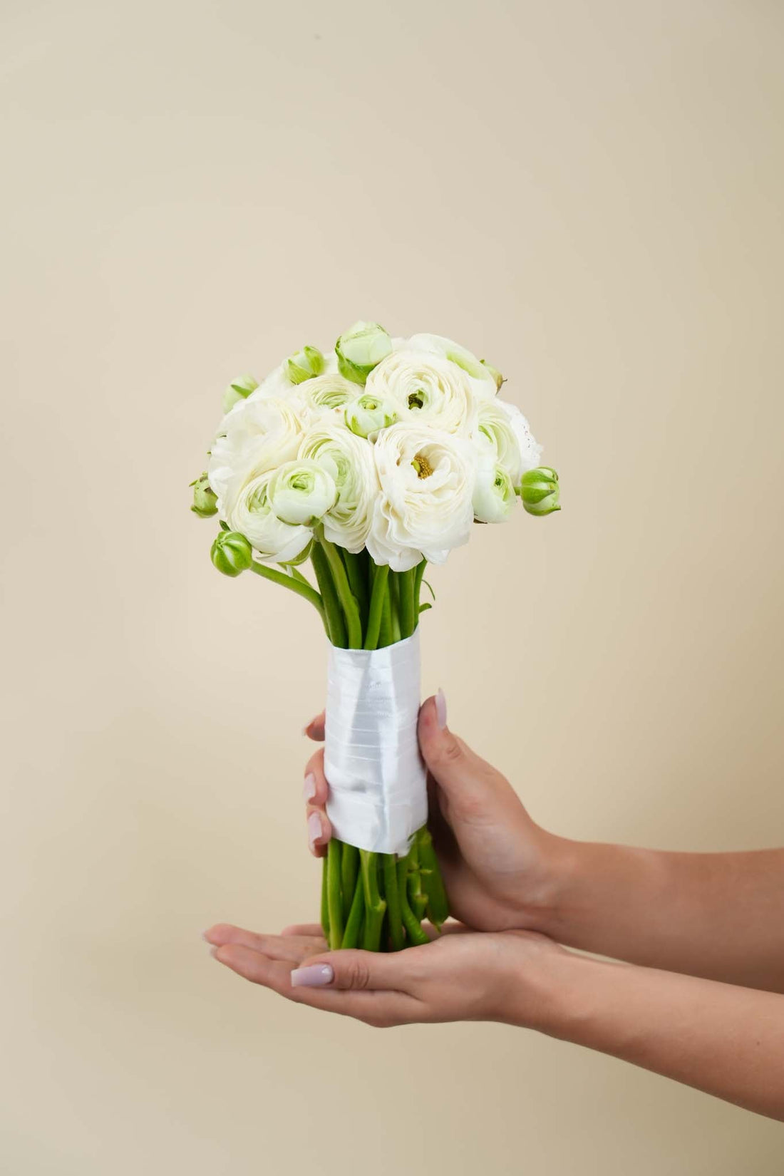 Anniversary Messages for Wife to Express True Love and Gratitude
