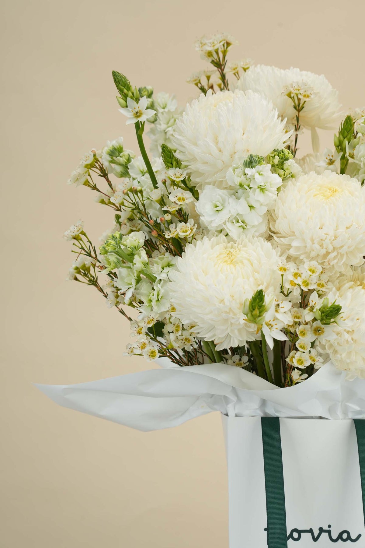 Pure White Garden