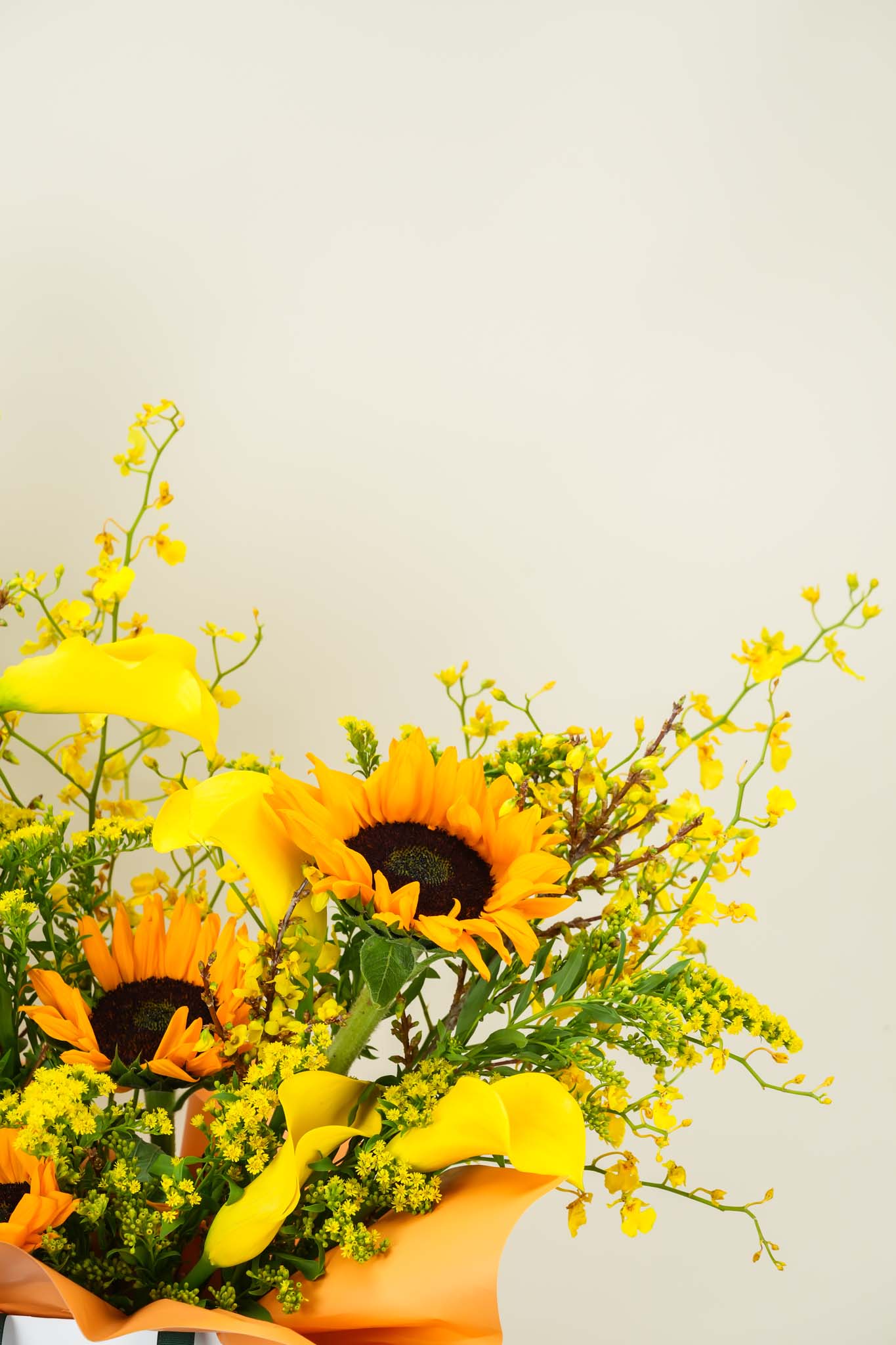 Sunshine Harvest