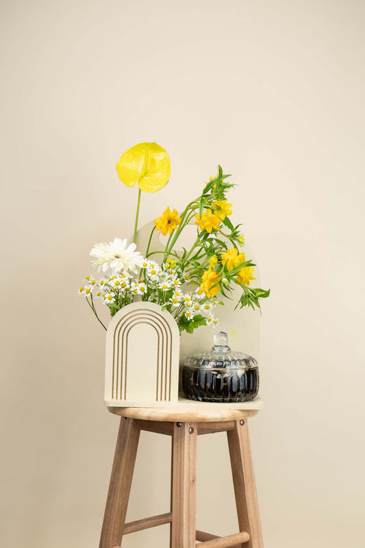 Elegant Yellow Daisy