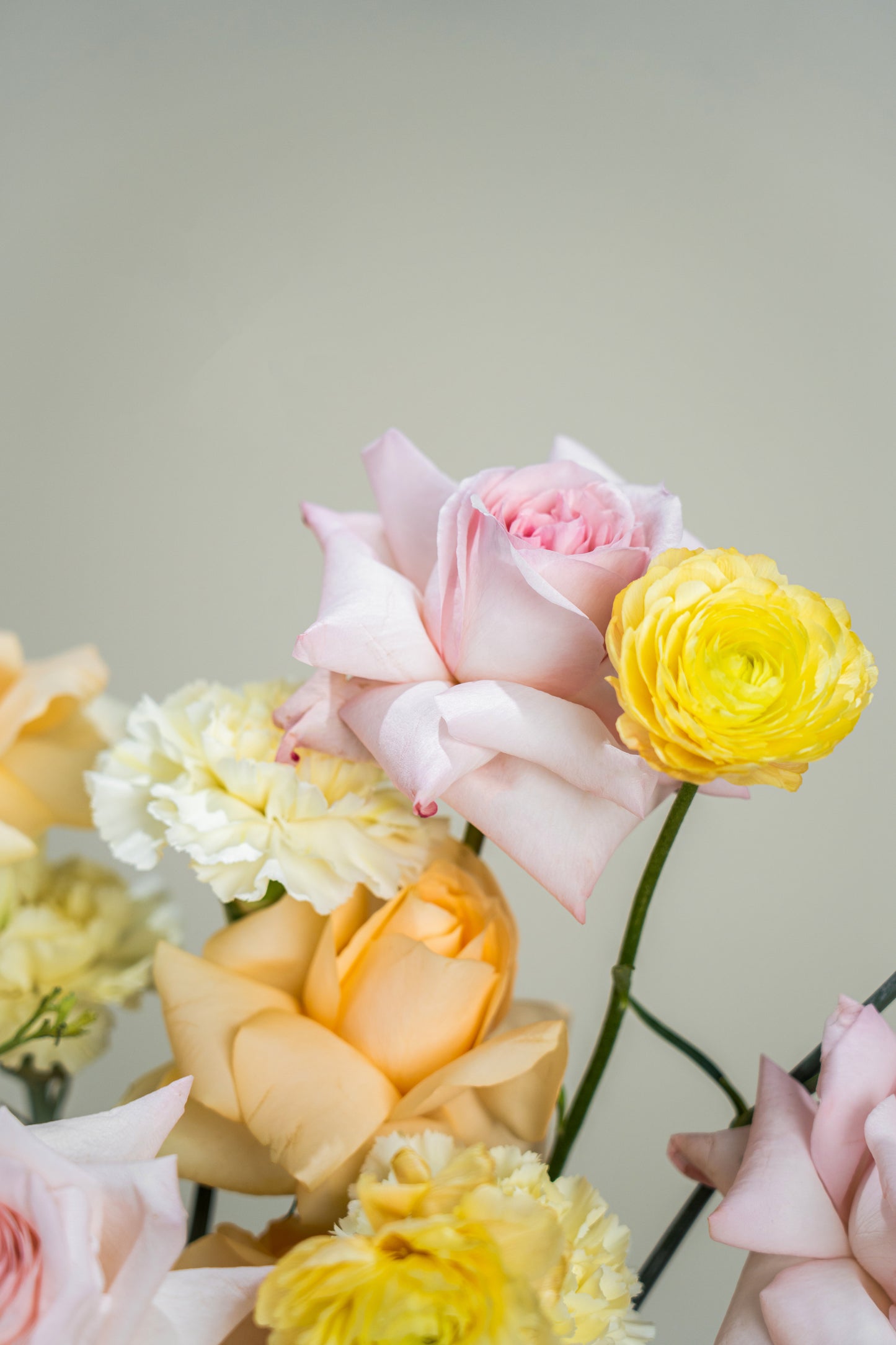 Pastel Serenade