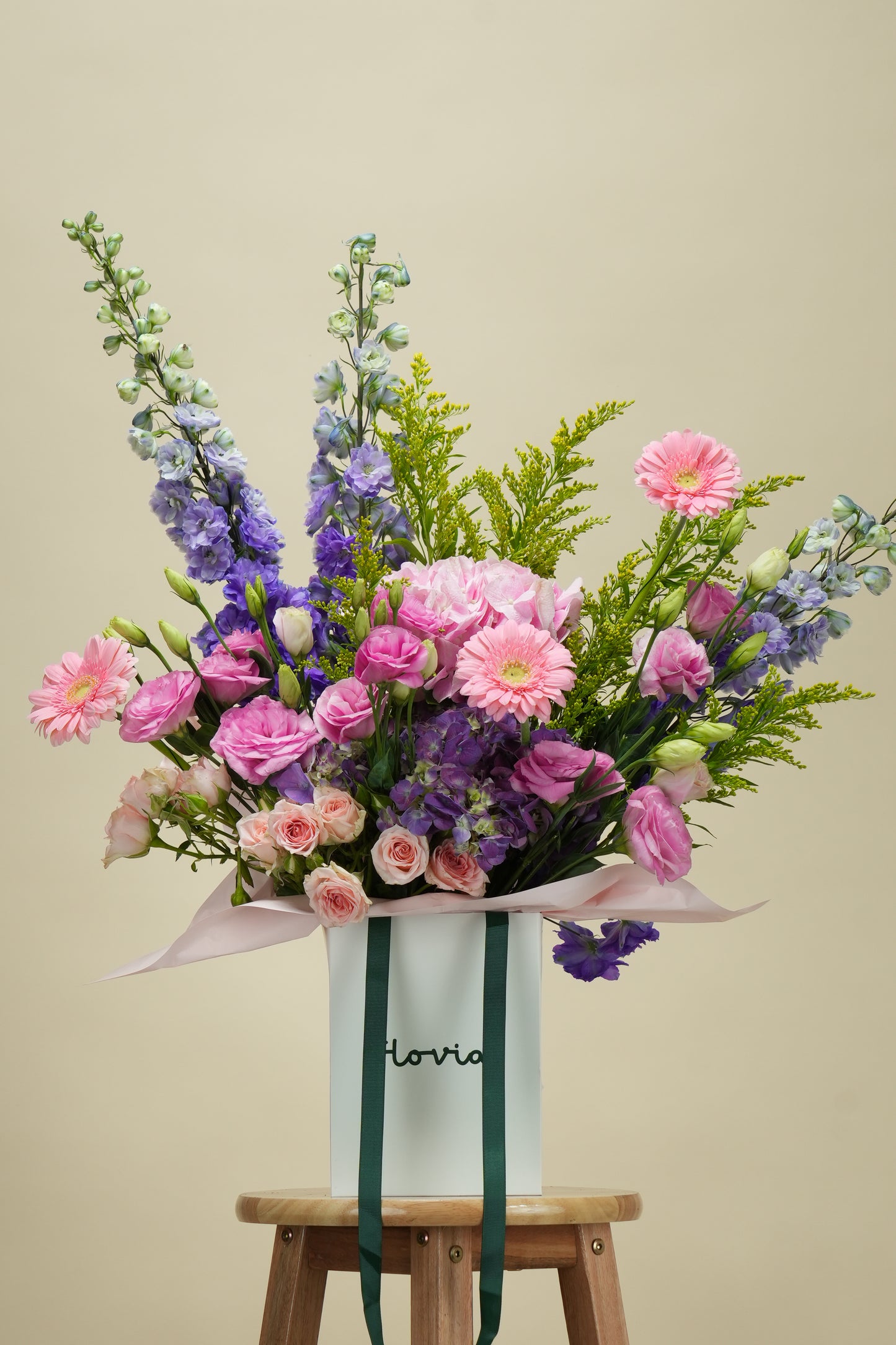 Delphinium Garden Elegance