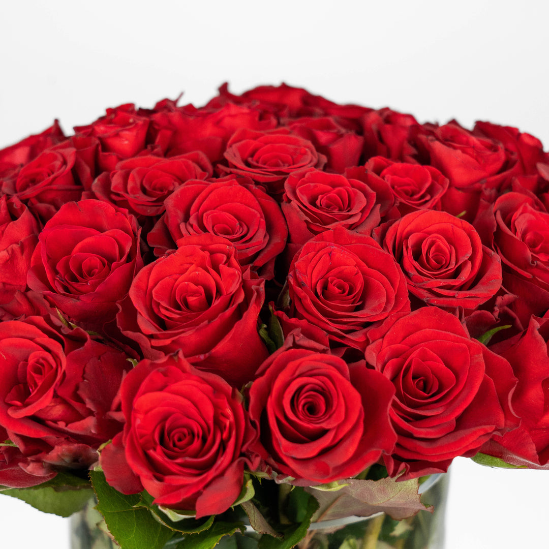 Red Roses Gift